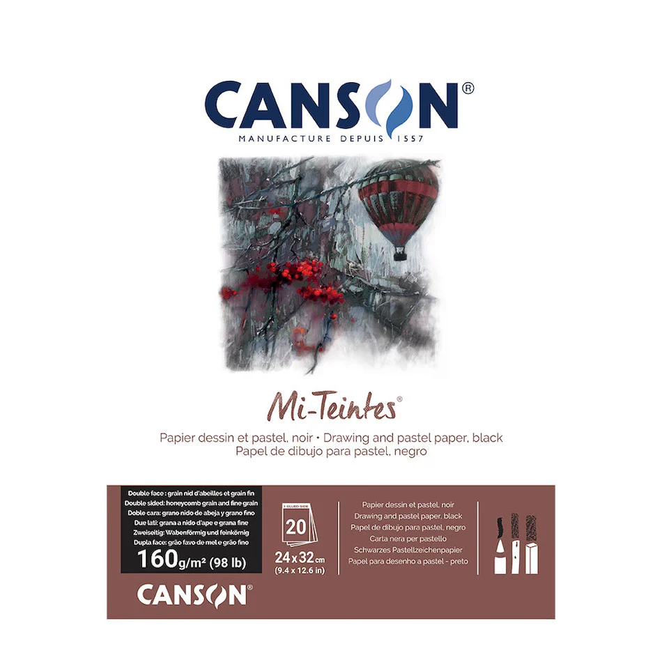Canson Mi-Teintes Pad 24 x 32