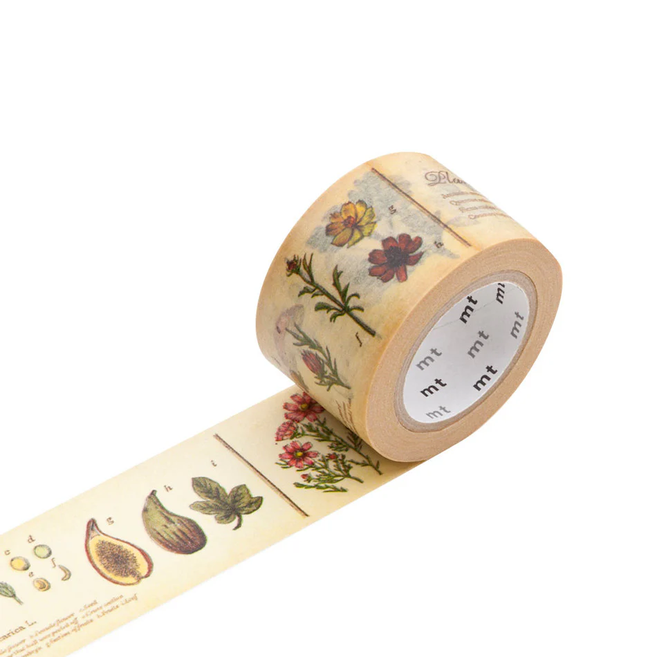 mt Washi Masking Tape 30mm x 7m Encyclopedia / Plant